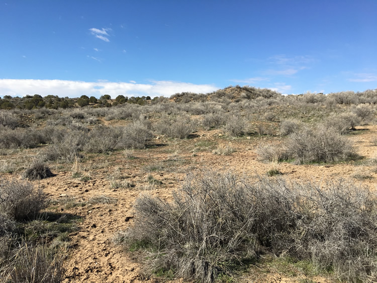 Yucca House National Monument